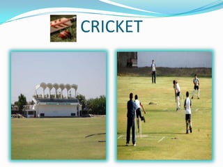 CRICKET
 
