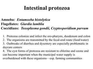 Intestinal protozoa
Amoeba: Entamoeba histolytica
Flagellates: Giardia lamblia
Coccidians: Toxoplasma gondii, Cryptosporidium parvum
1. Protozoa colonize and infect the oro-pharynx, duodenum and colon
2. The organisms are transmitted by the fecal-oral route (food/water)
3. Outbreaks of diarrhea and dysentery are especially problematic in
daycare centers
4. The cyst forms of protozoa are resistant to chlorine and ozone and
can become important when the municipal water supply is
overburdened with these organisms—esp. farming communities
 