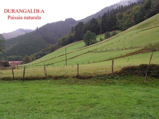 DURANGALDEA Paisaia naturala 