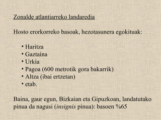 Zonalde atlantiarreko landaredia Hosto erorkorreko basoak, hezotasunera egokituak: Haritza Gaztaina  Urkia  Pagoa (600 metrotik gora bakarrik) Altza (ibai ertzetan) etab. Baina, gaur egun, Bizkaian eta Gipuzkoan, landatutako pinua da nagusi ( insignis  pinua): basoen %65 