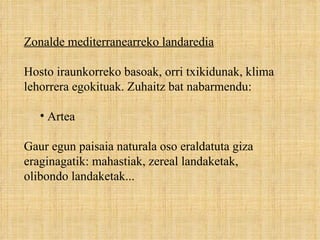 Zonalde mediterranearreko landaredia Hosto iraunkorreko basoak, orri txikidunak, klima lehorrera egokituak. Zuhaitz bat nabarmendu: Artea Gaur egun paisaia naturala oso eraldatuta giza eraginagatik: mahastiak, zereal landaketak, olibondo landaketak... 