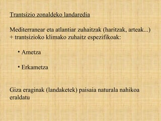 Trantsizio zonaldeko landaredia Mediterranear eta atlantiar zuhaitzak (haritzak, arteak...) + trantsizioko klimako zuhaitz espezifikoak:  Ametza Erkametza  Giza eraginak (landaketek) paisaia naturala nahikoa eraldatu 