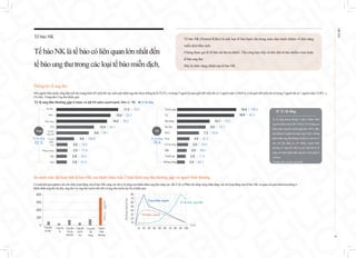 Tế bào NK (Natural Killer) là một loại tế bào bạch cầu trong máu chịu trách nhiệm về khả năng
miễn dịch bẩm sinh.
Chúng được gọi là 'tế bào sát thủ tự nhiên'. Tấn công trực tiếp và tiêu diệt tế bào nhiễm virus hoặc
tế bào ung thư
Đây là chức năng chính của tế bào NK.
Tế bào NK
TếbàoNKlàtếbàocóliênquanlớnnhấtđến
tếbàoungthưtrongcácloạitếbàomiễndịch.
Thống kê về ung thư
Nếu người Hàn Quốc sống đến tuổi thọ trung bình (83 tuổi) thì xác suất mắc bệnh ung thư được thống kê là 35,5%, và trong 5 người là nam giới (80 tuổi) thì có 2 người mắc ( (39,6%), ở nữ giới (86 tuổi) thì cứ trong 3 người thì có 1 người mắc( 33,8%. ).
(Tư liệu, Trung tâm Ung thư Quốc gia)
So sánh mức độ hoạt tính tế bào NK của bệnh nhân mắc 5 loại bệnh ung thư thường gặp và người bình thường
Có một kết quả nghiên cứu cho thấy hoạt động của tế bào NK càng cao thì tỷ lệ sống của bệnh nhân ung thư càng cao. Bộ Y tế và Phúc lợi cũng công nhận rằng việc đo hoạt động của tế bào NK và quan sát quá trình hoạt động ở
bệnh nhân ung thư dạ dày, ung thư vú, ung thư tuyến tiền liệt và ung thư tuyến tụy là có hiệu quả.
Tỷ lệ ung thư thường gặp ở nam và nữ (10 nghìn người/người, Đơn vị : %) ■ Tỷ lệ sống
17.2 | 76.3
15.0 | 22.7
14.0 | 78.0
10.4 | 34.1
9.0 | 94.1
4.8 | 100.6
3.0 | 10.3
2.9 | 77.8
2.8 | 30.2
2.8 | 81.6
Dạ dày
Nam
Tỷ lệ sống
62.8
Nữ
Tuyến giáp 19.4 | 100.2
18.9 | 92.3
10.7 | 73.6
9.5 | 73.7
7.2 | 35.8
4.0 | 32.2
3.5 | 79.9
3.0 | 28.0
2.9 | 11.5
2.4 | 64.1
Vú
Đại tràng
Dạ dày
Phổi
Gan
Cổ tử cung
Mật
Tuyến tụy
Buồng trứng
Tỷ lệ sống
78.4
Độ
hoạt
tính
tế
bào
Tuổi
Nam khỏe mạnh
Nữ khỏe mạnh
Tỷ lệ mắc ung thư
Ungthư
dạdày
0
200
400
600
800
Đơn
vị
:
pg/ml
10 20 30 40 50 60 70 80 90 100
10
40
20
50
30
60
70
80
Tỷ lệ sống tương đương 5 năm ở bệnh nhân
ungthưphátsinhtừ2011-2015.(Tỷlê sốngcủa
bệnh nhân ung thư tuyến giáp trên 100%, điều
nàykhôngcónghĩa là trongvòng5năm,những
bệnh nhân ung thư không ai chết cả, mà chỉ số
này nói lên rằng so với những người bình
thường có cùng độ tuổi và giới tính thì tỷ lệ
sống của bệnh nhân mắc ung thư tuyến giáp là
caohơn
Tàiliệu:Bộy tế phúc lợixãhội
※ Tỷ lệ sống
10
EHL
BIO
Phổi
Thận
Mật
Bàng quang
Tụy
Tuyến
tiền liệt
Tuyến
giáp
Gan
Đại tràng
Ungthư
đại
tràng
Ungthư
tuyến
tụy
Ungthư
Tuyến
tiềnliệt
Người
bình
thường
Ungthư
vú
 