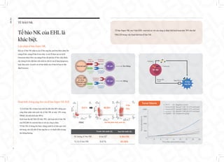 EHL
BIO
Tế bào Super NK của Viện EHL vượt trội so với các công ty khác khi kích hoạt trên 70% thụ thể
NKG2D trong việc hoạt tính hóa tế bào NK.
TẾ BÀO NK
TếbàoNKcủa EHLlà
khácbiệt.
Liệu pháp tế bào Super NK
Khi các tế bào NK nhận ra các tế bào ung thư, perforin được phun lên
màng tế bào, màng tế bào bị tan chảy và các lỗ được tạo ra, từ đó
Granzyme được tiêm vào màng tế bào để phá hủy tế bào chất, khiến
cho chúng bị tiêu diệt theo tiến trình tự chết đi của tế bào(Apoptosis),
hoặc tiêm nước và muối vào tế bào khiến cho tế bào bị hoại tử dần
dần(Necrosis).
Hoạt tính chống ung thư của tế bào Super NK EHL
•Tỷ lệ tế bào NK sẽ được hoạt tính lên đến trên 90% thông qua
công đoạn phân tách nuôi cấy tế bào NK từ mức 10% trong
PBMC( độ tinh khiết trên 90%).
•Kích hoạt thụ thể NKG2D trên 70% nên hoạt tính tế bào NK
của EHLBIO là vượt trội hẳn so với các công ty khác.
•Tế bào NK số lượng lớn được chứng minh là có hiệu quả vượt
trội trong việc tiêu diệt tế bào ung thư so với thuốc điều trị ung
thư thông thường.
Normal cell NK cell
NK cell
MHCⅠ
molecule
No Killing
Killing
Inhibitory
receptor
Activating
receptor
Activating
ligand
Activating
ligand
Tumor cell
or virus
infected cell
(Target cell)
Inhibitory
receptor
Activating
receptor
Perforin
Granzyme
Đường dẫn
(Trail) Trail-R1/2
NK 세포
Tế bào
ung thư
PBMC Sau khi phân tách, nuôi cấy
1 4
0
500
1000
1500
2000
8 11 15 18 22 25 29
Time after administration(days)
Tumor
volume
(mm3)
G1: Negative control
G2: Keycell-I-M(1.33x10^5 cells/head)
G3: Keycell-I-M(6.67x10^5 cells/head)
cisplatin G5: Cisplatin(2mg/kg)
Kiểm soát
Dung lượng thấp
Dung lượng trung
Dung lượng cao G4: Keycell-I-M(3.34x10^6 cells/head)
Trước khi nuôi cấy Sau khi nuôi cấy
Số lượng tế bào NK 9.4x106
9.95x109
Tỷ lệ tế bào NK 9.61% 90.58%
9.61% 90.58%
70%
Trên
Tumor Volume
11
 