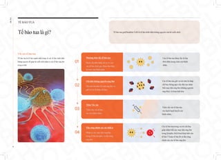 EHL
BIO
Tế bào tua gai(Dendritic Cell) là tế bào trình diện kháng nguyên của hệ miễn dịch.
TẾ BÀO TUA
Tếbàotua là gì?
Vắc xin tế bào tua
Tế bào tua là tế bào mạnh nhất trong số các tế bào trình diện
kháng nguyên để giúp hệ miễn dịch nhận ra các tế bào ung thư
trong cơ thể.
Phương thức lấy tế bào tua
Bạch cầu đơn nhân, là cơ sở của
các tế bào đuôi gai, được thu thập
từ máu của bệnh nhân.
Ghi nhớ kháng nguyên ung thư
Ghi nhớ tín hiệu bề mặt ung thư và
giữ vai trò là tháp chỉ huy.
Tiêm Vắc xin
Tiêm vắc xin tế bào
tua cho bệnh nhân.
Tấn công chính xác các khối u
Nhận ra các mục tiêu ung thư
trong tế bào lympho và tấn công
ung thư.
Các tế bào tua được lấy từ lớp
đơn nhân trong máu của bệnh
nhân.
Các tế bào tua giữ vai trò như là tháp
chỉ huy thông qua việc đào tạo nhận
biết mục tiêu ung thư (kháng nguyên
ung thư), và hoạt tính hóa.
Tiêm vắc xin tế bào tua
vào hạch bạch huyết của
bệnh nhân..
Các tế bào tua trong vai trò chỉ huy
giúp nhận biết các mục tiêu ung thư
trong lympho, kích hoạt hoạt tính của
tế bào T hoặc tế bào B và tấn công
chính xác các tế bào ung thư.
01
02
03
04
13
 