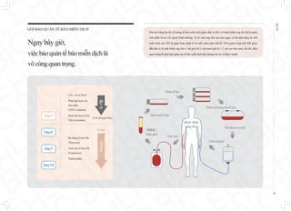 Khi tuổi tăng lên thì số lượng tế bào miễn dịch giảm dần và đối với bệnh nhân ung thư thì bị giảm
một phần ba so với người bình thường. Tỷ lệ mắc ung thư cao hơn ngay cả khi khả năng ức chế
miễn dịch của Th2 bị giảm hoặc nhân tố ức chế viêm mãn tính IL-10 bị giảm, hoạt tính NK giảm
dẫn đến tỷ lệ mắc bệnh ung thư ở nữ giới là 2, còn nam giới là 1.7, nữ cao hơn nam. Do đó, điều
quan trọng là phải bảo quản các tế bào miễn dịch khi chúng còn trẻ và khỏe mạnh.
GÓI BẢO QUẢN TẾ BÀO MIỄN DỊCH
Ngaybâygiờ,
việcbảoquảntếbàomiễndịchlà
vôcùngquantrọng.
EHL BIO 슈퍼NK세포 배양과정
Bệnh nhân
ung thư
Lấy máu
PBMC
Phân tách
Hoạt tính tế bào
Nhân tế bào
Nhân số lượng lớn tế bào
Thu hoạch và Q.C
Tiêm truyền
· Lấy máu(70cc)
· Phân lập bạch cầu
đơn nhân
(MNC isolation)
· Hoạt tính hóa tế bào
NK(Activation)
Giữ đông(6 lần)
6~7일
Order
14
ngày
· Rã đông tế bào NK
(Thawing)
· Nuôi cấy tế bào NK
(Expansion)
· Thành phẩm
Day7
Day0
Day7
Day14
18
EHL
BIO
 