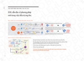 LIỆU PHÁP MIỄN DỊCH ĐIỀU TRỊ UNG THƯ
EHLdẫnđầuvề phương pháp
mớitrongviệc điềutrị ung thư.
PHÁT TRIỂN LIỆU PHÁP MIỄN DỊCH ĐIỀU TRỊ UNG THƯ
PHẢN ỨNG CỦA TẾ BÀO MIỄN DỊCH VỚI UNG THƯ
Thuốc trị ung thư hóa học
Thuốc trị ung thư nhắm đích
Liệu pháp
miễn dịch
Thế hệ 1
Thế hệ 2
Tế bào ung thư
Tiêm thuốc Tấn công
Tiêmthuốc
Ức chế
Tiêu diệt tế bào ung thư
Xảyra
tác
dụng
phụ
Tếbào
ungthư
bịtiêudiệt
Điều
trị
ung
thư
Chất gây ung thư
Chất ức chế miễn dịch
Cải thiện chức
năng miễn dịch
Tb miễn dịch
Hoạt tính hóa
Tiêmthuốc Tấncông
So sánh nguyên
lý hoạt động của
thuốc điều trị
ung thư
Nguyên lý mà ung thư tránh được sự tấn công của tế bào miễn dịch
Nguyên lý ung thư tránh được sự tấn công của tế bào miễn dịch
Chất protein xuất hiện ở tế bào ung thư nếu kết hợp với thụ thể PD-1 của tế bào T ( tế bào miễn dịch) thì tế bào
T sẽ không thể tấn công tế bào ung thư, và do đó mà tế bào ung thư cứ lớn dần lên.
Nếu như kháng thể chống ung thư miễn dịch dính với thụ thể PD-1, làm cho nó không thể kết hợp được với
chất protein PD-L1 của tế bào ung thư thì tế bào T sẽ tấn công tế bào ung thư.
Tế bào
miễn dịch
T
Tế bào
miễn dịch
T
Thụ thể PD-1
Chất đạm PD-L1
Tế bào
ung thư
Tế bào
ung thư
Tế bào ung thư
Tế bào ung thư
Tếbào
miễn
dịch
T
Kháng thể miễn dịch
Hạch
bạch
huyết
Tế bào lympho
đào tạo, kích
hoạt
Miễn dịch
thu được
Bạch cầu
trungtính
Tế bào NK
Hoạt tính hóa
tế bào NK
Tế bào T hỗ trợ
Tế bào T gây độc tế bào
Tế bào B
Sản xuất kháng thể
Nuốt kháng nguyên
Tế bào tua gai
Tế bào tua
③
④
①
②
Sự tấn công,
phá hủy của
tế bào ung thư
Tế bào
ung thư
Kháng nguyên
ung thư
Sự tấn công
đặc hiệu của
tế bào ung thư
· Đại thực bào được hoạt tính hóa, theo đó kéo theo sự hoạt tính hóa của tế bào NK.
· Nếu như những tế bào như tế bào NK và đại thực bào được hoạt tính hóa, phá hủy tế bào
ung thư thì kháng nguyên ung thư sẽ bị nuốt gọn bởi tế bào tua gai..
· Tế bào tua gai nuốt kháng nguyên ung thư và biểu hiện lên bề mặt tế bào.
· Tế bào B sản xuất kháng thể.
· Tấn công tế bào ung thư theo phản ứng miễn dịch mang tính đặc hiệu với kháng
nguyên ung thư ➡ Miễn dịch thu được
Thế hệ 3
09
EHL
BIO
Tế bào
miễn dịch
T
Đại thực bào
 