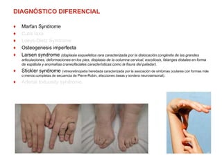 DIAGNÓSTICO DIFERENCIAL
♦ Marfan Syndrome
♦ Cutis laxa
♦ Loeys-Dietz Syndrome
♦ Osteogenesis imperfecta
♦ Larsen syndrome (displasia esquelética rara caracterizada por la dislocación congénita de las grandes
articulaciones, deformaciones en los pies, displasia de la columna cervical, escoliosis, falanges distales en forma
de espátula y anomalías craneofaciales características como la fisura del paladar).
♦ Stickler syndrome (vitreoretinopatía heredada caracterizada por la asociación de síntomas oculares con formas más
o menos completas de secuencia de Pierre-Robin, afecciones óseas y sordera neurosensorial).
♦ Arterial tortuosity syndrome.
 