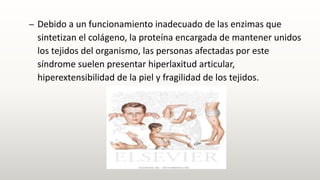– Debido a un funcionamiento inadecuado de las enzimas que
sintetizan el colágeno, la proteína encargada de mantener unidos
los tejidos del organismo, las personas afectadas por este
síndrome suelen presentar hiperlaxitud articular,
hiperextensibilidad de la piel y fragilidad de los tejidos.
 