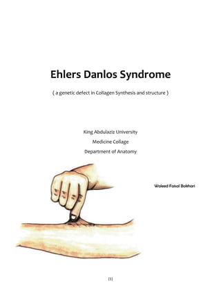 Ehlers Danlos Syndrome<br />( a genetic defect in Collagen Synthesis and structure )<br />King Abdulaziz University<br />Medicine Collage <br />-602742103378Department of Anatomy<br />Waleed Faisal Bokhari<br />Introduction<br />Background <br />Ehlers-Danlos syndrome (EDS) is the name given to a group of more than 10 different inherited disorders; all involve a genetic defect in collagen and connective-tissue synthesis and structure.<br />Ehlers-Danlos syndrome can affect the skin, joints, and blood vessels.This syndrome is clinically heterogeneous; the underlying collagen abnormality is different for each type.Clinical recognition of the types of Ehlers-Danlos syndrome is important. One type, type IV, is associated with arterial rupture and visceral perforation, with possible life-threatening consequences.<br />Pathophysiology<br />Ehlers-Danlos syndrome is a heterogeneous group of inherited connective-tissue disorders characterized by joint hypermobility, cutaneous fragility, and hyperextensibility. The collagen defect has been identified in only 6 of the 11 types of Ehlers-Danlos syndrome. Type IV is characterized by a decreased amount of type III collagen. Types V and VI are characterized by deficiencies in hydroxylase and lysyl oxidase, an important posttranslational modifying enzyme in collagen biosynthesis. Type VII has an amino-terminal procollagen peptidase deficiency. Type IX has abnormal copper metabolism. Type X has nonfunctioning plasma fibronectin. <br />In Ehlers-Danlos syndrome types I and II, the classic variety, identifying the molecular structure in most individuals who are affected is difficult. Causative mutations may involve the COL5A1, COL5A2, and tenascin-X genes and are implied to be in the COL1A2 gene. Nonetheless, in most families with autosomal dominant Ehlers-Danlos syndrome, the disease appears to be linked to loci that contain the COL5A1 or COL5A2 genes. Although half of the mutations that cause Ehlers-Danlos syndrome types I and II are likely to affect the COL5A1 gene, a significant portion of the mutations result in low levels of mRNA from the mutant allele as a consequence of nonsense-mediated mRNA decay.<br />Bouma et al evaluated 3 generations in a family with Ehlers-Danlos syndrome type II. The genomic defect was an A(-2) -> G substitution at the exon 14 splice-acceptor site. Transmission electron micrographs of type I collagen fibrils in a proband dermal biopsy specimen demonstrated heterogeneity in fibril diameter that was greater than that of a matched control sample. The proband was found to have a greater proportion of both larger and smaller fibrils, and occasional fibrils with a cauliflower configuration were observed.<br />Wenstrup and associates identified haploinsufficiency of the COL5A1 gene that encodes the proalpha1(V) chain of type V collagen in the classic form of Ehlers-Danlos syndrome. Eight of 28 probands with classic Ehlers-Danlos syndrome who were heterozygous for expressed polymorphisms in COL5A1 had complete or nearly complete loss of expression of one COL5A1 allele. One third of individuals with classic Ehlers-Danlos syndrome were estimated to have mutations of COL5A1 that result in haploinsufficiency. These findings suggest that the normal formation of the heterotypic collagen fibrils that contain types I, III, and V collagen requires the expression of both COL5A1 alleles. <br />Autosomal recessive–type VI Ehlers-Danlos syndrome, also known as the kyphoscoliotic type, is characterized by neonatal kyphoscoliosis, generalized joint laxity, skin fragility, and severe muscle hypotonia at birth. Biochemically, this type is attributed to a deficiency in lysyl hydroxylase (LH), the enzyme that hydroxylates specific lysine residues in the collagen molecule to form hydroxylysines with 2 important functions. The residues are attachment sites for galactose and glucosylgalactose, and they act as precursors of the cross-linking process that gives collagen its tensile strength.<br />More than 20 mutations are identified in the LH1 gene that contributes to LH deficiency and clinical Ehlers-Danlos syndrome type VI. Yeowell and Walker identified 2 of these mutations in 5 or more unrelated patients: (1) a large duplication of exons 10-16, which arise from a homologous recombination of intronic Alu sequences, and (2) a nonsense mutation, Y511X, in exon 14 of the LH1 gene. Both mutations seem to originate from a single ancestral gene.<br />Tenascin-X is a large extracellular matrix protein, a deficiency of which causes a clinically distinct recessive form of this syndrome. Thus, factors other than collagens or collagen-processing enzymes may cause this syndrome. This newly described form may be associated with additional anomalies.<br />A case with colonic perforation in a young girl, with a fatal outcome, was related to a novel mutation of the COL3A1 gene. Crystal structure of human type III, in the structure G991-G1032 cystine knot, shows both 7/2 and 10/3 symmetries.A novel point mutation has been found in the vascular type of Ehlers-Danlos syndrome. The mutation took place in the second position of exon 24 of COL3A1.Impaired wound healing is a typical feature of Ehlers-Danlos syndrome, probably for a fibroblast defect. Wound repair can be achieved using exogenous type V collagen.Ehlers-Danlos syndrome pediatric patients have been shown to have deficiencies in 3 genes of the glutathione S-transferase family (GSTM1, GSTT1, GSTP1). This leads to the generation of reactive oxygen species.Reduced activity of beta4-galactosyltransferase 7 (beta4GalT-7) is associated with the progeriform Ehlers-Danlos syndrome.<br />Frequency<br />The prevalence of Ehlers-Danlos syndrome is reported to be 1 case in approximately 400,000 people, but mild or incomplete forms appear to be under diagnosed and more common than other forms. It is usually diagnosed in young adults.<br />Mortality/Morbidity<br />20450741046966Type IV Ehlers-Danlos syndrome is a severe form. Patients often have a shortened lifespan because of the spontaneous rupture of a large artery (eg, splenic artery, aorta) or the perforation of internal organs. Surgery can pose life-threatening risks in these patients. The other types are usually not as dangerous, and affected individuals can live a healthy if somewhat restricted life. Type VI is also somewhat dangerous, although it is rare.<br />Clinical<br />History<br />The biochemical collagen defect is present at birth, but clinical manifestations become evident later.<br />Muscle weakness is often present, and patients report a tendency to fall down easily and have poor body control. <br />Sometimes, patients have difficulty walking. <br />Mental development is normal. <br />The newly described tenascin-X–deficient form was described in 8 patients with hyperelastic skin and hypermobile joints. <br />Each patient bruised easily, and most had velvety skin. <br />A few patients also had joint pain and multiple subluxations. <br />None had delayed wound healing or atrophic scars. <br />Dental pathology is common in these patients. Findings include hypodontia of permanent teeth, delayed eruption, and dentin dysplasia.<br />In one patient, splenic rupture due to peliosis led to the diagnosis of vascular Ehlers-Danlos syndrome.<br />Two Ehlers-Danlos syndrome patients with cutaneous metaplastic synovial cysts are described in the literature. <br />Multiple sclerosis can be associated with Ehlers-Danlos syndrome.<br />Absence of the inferior labial or lingual frenula in Ehlers-Danlos syndrome patients has been suggested as a new diagnostic criterion.<br />Subependymal periventricular heterotopia is not a rarity in Ehlers-Danlos syndrome patients.<br />Ehlers-Danlos syndrome and anorexia nervosa have been described in the same patient.<br />Several articles review pregnancy in Ehlers-Danlos syndrome patients. <br />Causes<br />Collagens are a family of proteins that are widely distributed in all organs of the body. Thirteen different subtypes are known, and the number increases constantly. <br />The joints, blood vessels, and skin have different kinds of collagen in their structure; in all these locations, collagen is organized into bundles. <br />Collagen organization is not easily visible by means of light microscopy, and abnormalities are better detected with electron microscopy. <br />Collagen disorganization and/or abnormal bundle size is correlated with clinical evidence in the joints, skin, and blood vessels. <br />In Ehlers-Danlos syndrome, skin collagen alteration can be seen in the reticular dermis. <br />Two abnormalities are evident: irregularities in the diameter of the fibrils and irregular collagen shapes. <br />Fibrils can be large and irregular in some types (types I-III), but they can also be small or varied in others. <br />The most severe form of Ehlers-Danlos syndrome, type IV, is the best studied; biochemically, this type has decreased or absent type III collagen synthesis. Pathologic findings in other skin layers are visible but nonspecific.<br />Physical<br />To date, 11 variants of Ehlers-Danlos syndrome are identified; all have genetic, biochemical, and clinical differences. More than one third of persons with Ehlers-Danlos syndrome do not fit exactly into a single type; overlap is common.<br />Common to almost all groups is a unique appearance of the skin (see Media Files 1-5). <br />The skin is usually white and soft, and underlying vessels are sometimes visible. <br />The skin has a doughy feel. <br />The skin is easily hyperextensible. It is easy to pull, and, once released, it immediately returns to its original state.<br />Molluscoid pseudotumors are small, spongy tumors found over scars and pressure points. <br />Molluscoid pseudotumors consist of fat surrounded by a fibrous capsule. <br />They are commonly seen in patients with type I.<br />Smaller, deep, palpable, and movable nodules are often present in the subcutaneous tissue. <br />These nodules can be found in the arms and over the tibias. <br />Calcification leads to opacity on radiographs.<br />Fragility of dermal skin is common, with frequent bruises and lacerations. <br />Poor wound healing is not rare. <br />The use of sutures is usually a problem in patients, in whom easy dehiscence and cigarette-paper–like scars may be observed. Frequently, these scars are found on the knees.<br />The joints are hyperextensible, sometimes dramatically, but the degree of involvement is variable. <br />The digit joints are most commonly affected, but all the joints can show alterations. <br />Dislocations can occur, but patients are usually able to quickly reduce them with no pain.<br />Type I, the gravis form, affects 43% of patients and is inherited in an autosomal dominant pattern. <br />In this type, the clinical features are usually severe. <br />Patients have marked skin extensibility with frequent lacerations and subsequent scarring in different body locations. <br />Surgical sutures heal poorly, with easy dehiscence. <br />Joint hypermobility is severe and affects all parts of the body. <br />Spontaneous dislocations can occur, but immediate reduction is easy. <br />Varicosities and molluscoid pseudotumors are common. <br />Musculoskeletal features are easily found. These features include kyphoscoliosis, hallus valgus, pes planus (ie, flat feet), and genu recurvatum; bruises are less common in this type than in other forms. <br />Cardiac defects, especially mitral valvular prolapse, are sometimes present. <br />Prematurity with rupture of the fetal membranes is specific to this type.<br />Type II, the mitis form, affects 35% of patients and is inherited in an autosomal dominant pattern. <br />This group is characterized by a mild appearance of the same features of type I. <br />Wide scars are common, but the skin has somewhat less fragility and bruisability. <br />The joints are moderately hyperextensible, and the digits are usually the only body sites affected.<br />Type III, the benign familiar hypermobile form, affects 10% of patients and is inherited in an autosomal dominant pattern. <br />Patients with this variant have minimal or no skin changes, but they do have a striking hyperextensibility in many joints. <br />This hyperextensibility usually causes orthopedic consequences (eg, severe osteoarthritis) in the long term.<br />Type IV, the ecchymotic or arterial forms, affects 6% of patients and is inherited in an autosomal recessive or sometimes autosomal dominant pattern. <br />This variant is relatively rare. <br />Clinically, patients have unique, white, translucent skin, and the underlying vessels are easy to see. <br />The skin is also fragile but not extensible. <br />Scars and molluscoid pseudotumors are numerous, as are bruises and purpuric lesions. <br />Keloids and hyperpigmentation of the scars are common. <br />Joint hyperextensibility is rare or absent. <br />Arterial aneurysms, valvular prolapse, and spontaneous pneumothorax are common complications. <br />Patients also have low weight and short stature. <br />The prognosis for this type is poor, and the patient's life span is shortened. <br />Sudden death can occur after visceral perforation or after the rupture of a large vessel, most commonly an abdominal or splenic vessel. <br />A prenatal diagnosis by means of polymorphic restriction genetic studies is possible.<br />Type V, the X-linked form, affects 5% of patients and is inherited in an X-linked recessive pattern. <br />The skin of patients with this form of Ehlers-Danlos syndrome is highly extensible, and orthopedic abnormalities are common. <br />Bruising and hyperextensibility are rare.<br />Type VI, the ocular form, affects 2% of patients and is inherited in an autosomal recessive pattern. <br />Patients with this type are clinically and severely affected by the disease. <br />The skin is extensible, bruises are common, and wound healing is poor. <br />Patients may have several scars, some of which can be hyperpigmented. <br />The joints are hyperextensible. <br />This subgroup has unique ocular clinical signs. The ocular fragility can cause retinal hemorrhage and detachment, glaucoma, and coloration of the sclera. Rupture of the globe is rare but possible. <br />Measurements of LH in the amniotic fluid can be used to predict the outcome of pregnancy.<br />Type VII, or arthrochalasis multiplex congenita, affects 3% of patients and is inherited in an autosomal recessive or autosomal dominant pattern. <br />Patients with this type have noticeable joint hyperextensibility, but skin changes are less severe than those of other types. <br />Patients have spontaneous joint dislocation, usually with rapid reduction. <br />Patients with this type are usually short in stature.<br />Type VIII, the periodontal form, is rare and inherited in an autosomal dominant pattern. <br />Patients with this type have dental involvement with gingival periodontal inflammation. <br />Skin laxity, joint hyperextensibility, and bruisability are variable. <br />Gingival resorption and permanent loss of the teeth are common by the time the patient is aged 30 years.<br />Type IX, or X-linked cutis laxa, is rare and inherited in an X-linked recessive pattern. <br />Patients with type IX have characteristic bilateral bony prominences on the occiput. <br />Rarely, the skin and joints are dramatically affected. <br />Chronic diarrhea and orthostatic hypotension are unique findings in this group. <br />Scars are usually evident because healing is poor. <br />Patients with this type have a defect in intracellular copper-dependent enzymes, similar to that of patients with Menkes syndrome.<br />Type X (fibronectin deficiency) and type XI (benign hypermobile joint syndrome) are rare forms of Ehlers-Danlos syndrome. Some suggest that these types are so similar that they are better classified as one type rather than 2. <br />In 1997, a new, simpler classification was proposed in an attempt to eliminate the confusion associated with the former classification. Although many dermatology books continue to include both classifications, the Ehlers-Danlos syndrome clinical forms can now be classified as follows: <br />Classic type was formerly types I and II. <br />Hypermobility type was formerly type III. <br />Vascular type was formerly type IV. <br />Kyphoscoliosis type was formerly type VI. <br />Arthrochalasis type was formerly type VII, characterized by deficiency of proA1 or proA2 chains of collagen type I. <br />Dermatosparaxis type was formerly type VII, characterized by deficiency of procollagen N -terminal peptidase. <br />Other was formerly types V, VIII, IX, X and XI.<br />A review of Ehlers-Danlos syndrome type VIII showed distinctive clinical features. The precise underlying molecular defect is unknown, but patients with this type are similar clinically.<br />Treatment <br />Medical Care<br />Treatment is unsatisfactory. <br />One isolated report showed that patients with type VI disease benefited from oral vitamin C at 4 g/d. Scars and bleeding time seemed to improve with this treatment.<br />Surgical Care<br />Extreme caution is mandatory in any surgical maneuver. <br />Plastic re-excision of scars sometimes provides acceptable cosmetic results. <br />Anesthetic implications, although rare, are very important in Ehlers-Danlos syndrome, especially in the type IV (or vascular) patients. Risk of complications is higher, spontaneous vascular rupture can occur, and cervical spine and airway trauma must be kept in mind. Bleeding is also reported.<br />Recombinant factor VIIa has been successful in the treatment of intractable bleeding in vascular-type Ehlers-Danlos syndrome.<br />Activity<br />Patients with Ehlers-Danlos syndrome types IV or VI should avoid participating in dangerous contact sports. <br />Some authors mention risks with activities that can increase intracranial pressure as a result of the Valsalva effect. An example of one such activity is playing the trumpet.<br />Medication<br />The goals of pharmacotherapy are to prevent complications and reduce morbidity.<br />Vitamins<br />Vitamin C may improve morbidity. It is a critical cofactor for collagen fibril synthesis.<br />307314634925Ascorbic acid (Cecon, Cevalin, Cevi-Bid )<br />For collagen synthesis and tissue repair.<br />Further Inpatient Care<br />Type IV Ehlers-Danlos syndrome patients should be carefully monitored because they are at high risk for spontaneous rupture of a large artery (eg, splenic artery, aorta) or perforation of internal organs. These patients should be educated that surgery can pose life-threatening risks. <br />Fernandez-Alcantud reviewed management of anesthesia in vascular type IV Ehlers-Danlos syndrome patients.<br />Jones reports the use of local anesthesia for elective cesarian delivery in a type III Ehlers-Danlos syndrome woman. <br />Deterrence/Prevention<br />Patients should avoid trauma and participation in contact sports. <br />Pregnancy is dangerous for some patients. <br />Bleeding risk should be considered in surgical operations.<br />Prognosis<br />Ehlers-Danlos syndrome type IV is a severe form, and patients with this disease often have a shortened lifespan. <br />Arterial aneurysms, valvular prolapse, and spontaneous pneumothorax are common complications. <br />The prognosis with this type is poor. <br />Sudden death can occur after visceral perforation or after the rupture of a large vessel, most commonly an abdominal and splenic vessel.<br />The other types usually are not as dangerous, and affected individuals can live healthy if somewhat restricted lives.<br />Patient Education<br />For excellent patient education resources, visit eMedicine's Skin, Hair, and Nails Center. Additionally, see eMedicine's patient education article Bruises.<br />Multimedia<br />Patient with Ehlers-Danlos syndrome. Note the abnormal ability to elevate the right toe. <br />Girl with Ehlers-Danlos syndrome. Dorsiflexion of all the fingers is easy and absolutely painless. <br />Patient with Ehlers-Danlos syndrome mitis. Joint hypermobility is less intense than with other conditions.<br />Dorsal view of a patient with Ehlers-Danlos syndrome. Note the S-curved spinal column. <br />Cigarette-paper–like scars over the knees of a patient with Ehlers-Danlos syndrome. Note also the deformity of the left knee.<br />