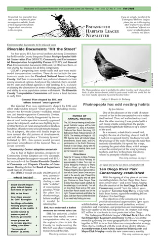 Dedicated to Ecosystem Protection and Sustainable Land Use Planning +++ Vol. 12 No. 4 +++ Fall 2002


We publish this newsletter four                                                                                                  If you are not yet a member of the
times a year to inform the gener-                                                                                                 Endangered Habitats League,
ous supporters and other friends                                                                                                     please join us in the ongoing
of the Endangered Habitats                                                                                                            effort to preserve and protect
League about our activties                                                              ENDANGERED                                      the Southern California eco-
in the ecoregion.                                                                                                                        region’s irreplacable plants,
                                                                                        HABITATS LEAGUE                                        animals and places.
                                                                                        NEWSLETTER
Environmental documents to be released soon
Riverside Documents “Hit the Street”
    For four years, EHL has served on three Advisory Committees
for the Riverside County Integrated Project: Multiple Species Habi-
tat Conservation Plan (MSHCP), Community and Environmen-
tal Transportation Acceptability Process (CETAP), and General
Plan. Environmental documents (EIRs and/or EISs) have been, or
will shortly be, released for all three components.
    CETAP is proposing new north-south and east-west multi-
modal transportation corridors. These do not include the con-




                                                                                                                                                                         © MONTE M. TAYLOR
troversial route over the Cleveland National Forest to Orange
County. Staff has recommended two preferred alternatives from
among dozens of options. Analysis of the potential effects on wild-
life by state and federal agencies is still pending. EHL is closely
evaluating the alternatives in terms of biology, growth induction,
and ability to serve population centers with transit. The Riverside               The Phainopepla has what is probably the oddest breeding cycle of any of our
County Transportation Commission will make a final decision                       birds. It often has two broods, which is quite usual in the bird world, but the
                                                                                  two nests may be separated by several hundred miles!
in early 2003.
               General Plan shaped by EHL and                                                  Subject: Beasts & Botany
                 others toward “smart growth”
    The General Plan was significantly shaped by EHL and                     Phainopepla has odd nesting habits
other stakeholders toward “smart growth,” including revolu-                                           By Jess Morton
tionary—for Riverside County—walkable, mixed                                                    One of the pleasures of the world of nature
use, and transit-supportive Community Centers.                                              around us lies in the unexpected ways it makes
                                                                 NOTICE OF
We have thus been bitterly disappointed by the ero-                                         itself noticed. Thus, as I walked out my front
                                                           ANNUAL MEETING
sion of rural landscapes due to recently approved                                           door the other morning, I was greeted with a
sprawl development—and are now fighting to pre-      The 2002 Annual Meeting of the Endan-
                                                     gered Habitats League will be held
                                                                                            soft rising whistle coming from the purple-
vent further loss of rural and agricultural lands as                                        blossomed nightshade that takes up a corner
hundreds of landowners seek last minute changes.     on December 15, 2002 at Audubon-
                                                     California Starr Ranch Sanctuary, 100  of the yard.
Yet, if adopted, the plan will finally begin to                                                 In a moment, a sleek black crested bird,
                                                     Bell Canyon Road, Trabuco Canyon, CA
turn around the old pattern of development,          92679. The meeting will begin at 1:00  roughly the size of a Starling, showed itself. If
and will also put in place a “Certainty System.”     PM. Agenda items will include bylaws   I had not recognized him by his distinctive call,
Initiated by EHL, this system would prevent          amendments, board seats, and EHL       the plumage of the male Phainopepla made him
piecemeal amendment of the General Plan, as          participation in the Earth Discovery   instantly identifiable. He spread his wings,
occurs currently.                                    Institute in San Diego, along with the exposing the great white blaze, which sweeps
   Community Center adoption uncertain               standard annual meeting items such     across the central part of the wing’s primary
                                                     as the treasurer’s report.             feathers, and flew to the phone line above,
    Due to fear of higher densities, prospects for
                                                                  Directions                where he promptly whistled again.
Community Center adoption are very uncertain,
                                                         Take the 5 Freeway to Alicia Parkway                                  This story continues on page 4
however, despite the support—secured with EHL-           exit. Go east on Alicia Parkway for
led outreach—of the Greater Riverside Chamber            approximately 5 miles. Turn right on
of Commerce and Hispanic Chamber of Com-                 Santa Margarita Parkway to Plano                Act signed into law by Gov. Davis on September 13th
merce. Hearings before the Board of Supervisors          Trabuco Road; go right on Plano
could begin in December.                                 Trabuco Road to Dove Canyon Drive;              San Diego River Park
   The MSHCP would set aside 150,000 acres of            turn left on Dove Canyon Drive and pro-
                                                         ceed to the security gate. Present this
                                                                                                         Conservancy established
                                new, currently
      what’s inside?            private land, in-        newsletter to the guard, who will admit        With the signing of a key piece of environ-
                                                         you. Continue on Dove Canyon Drive         mental legislation, the San Diego River has a
                                cluding a veri-
                                                         to Grey Rock Road (watch carefully for     new conservancy—and a new future. Saying
   Smart Growth Report          table “wish list”
                                                                                                    that the creation of the San Diego River Park
                                                         the street sign; it’s on the left). Turn left
   gives Inland Empire          of conservation          on Grey Rock Road and go 100 yards         Conservancy would “turn the tide on years
   bad news on sprawl     2     priorities. While        to the Starr Ranch access road on the      of neglect,” Governor Gray Davis, whose wife
   EHL in the News        2     the plan has             right. Proceed cautiously and follow the   hails from Santee, signed the enabling bill on
                                shortcomings,            signs. Call Starr Ranch at 949-858-0309    October 13 in San Diego.
   News from around
   So. Calif. Ecoregion   2
                                failure to adopt         if you need help finding your way.             The objectives of the conservancy are to
                                it would be                                                         provide recreational opportunities, open space,
   San Diego affordable         catastrophic.                                     wildlife habitat, species restoration and protection, wetland
   housing project gets
   millions in tax credits 3         EHL has endorsed a ballot                    protection and restoration, and protection and maintenance of
                                    measure to renew sales tax                    the water quality of the San Diego River. Its creation will bring
   Grants funded to                                                               $12 million in state funds to river protection in San Diego.
   preserve part of                    EHL has endorsed a ballot
                                                                                     The Endangered Habitats League’s Michael Beck, Chair of the
   Ramona grasslands           3    measure that would renew a
                                                                                  San Diego River Lakeside Conservancy (SDRLC), was instru-
   House passes bill                transportation sales tax, cause               mental in gathering the many geographically diverse river groups
   to increase pipeline             the region’s cities to join the               together in 2001 to focus their labors on a comprehensive strategy.
   safety, raise fines         4    County in implementing the                    Their efforts, combined with the work of key elected officials—
   “Covenants of
                                    MSHCP, and direct mitigation                  Assemblywoman Chris Kehoe, Supervisor Diane Jacobs and
   Motion” (a poem)            4    monies toward the plan.                       Mayor Dick Murphy—made the new conservancy a reality.
                                         This story continues on page 4                                                            This story continues on page 4
 