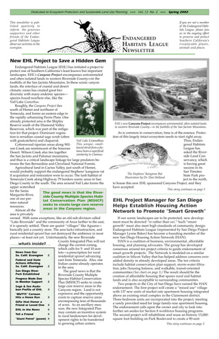 Dedicated to Ecosystem Protection and Sustainable Land Use Planning +++ Vol. 12 No. 2 +++ Spring 2002


This newsletter is pub-                                                                                                           If you are not a member
lished quarterly to                                                                                                               of the Endangered Habi-
inform the generous                                                                                                               tats League, please join
supporters and other                                                                                                              us in the ongoing effort
friends of the Endan-
gered Habitats League                                                               ENDANGERED                                    to preserve and protect
                                                                                                                                  Southern California’s
about our activties in the
ecoregion.
                                                                                    HABITATS LEAGUE                               irreplacable plants,
                                                                                                                                  animals and places.
                                                                                    NEWSLETTER
New EHL Project to Save a Hidden Gem
     Endangered Habitats League (EHL) has initiated a project to
protect one of Southern California’s least known but important
landscapes. EHL’s Canyons Project encompasses untrammeled
and often isolated lands in western Riverside County—in the
foothills of the San Jacinto Mountains. In these scenic canyon
lands, the interface of coastal and desert
climatic zones has created great bio-
diversity with many endemic species—
species found nowhere else, like the
Vail Lake Ceanothus.
     Roughly, the Canyons Project lies
south of Hemet and northeast of
Temecula, and forms an eastern edge to
the rapidly urbanizing Perris Plain. One
already protected area is the Shipley
                                                                              EHL’s new Canyons Project encompasses untrammeled, often isolated lands
Reserve south of the Diamond Valley
                                                                              in western Riverside County—in the foothills of the San Jacinto Mountains.
Reservoir, which was part of the mitiga-
tion for that project. Dominant vegeta-                                          As is common in conservation, time is of the essence. Protec-
tion is rersidian coastal sage scrub (often                                  tion of this largely intact ecosystem needs to start right away.
with gnatcatchers) and chaparral.                Vail Lake Ceanothus                                                            Thus, Endan-
     Cottonwood riparian areas along Wil-        This unique, small-                                                            gered Habitats
son Creek are reminiscent of the Sonoran         leaved shrub from a dis-                                                       League has
Desert. Wilson Creek also ties together          tance bears a superficial                                                      asked the River-
                                                 similarity to Chamise.
the San Jacinto and Palomar mountains,                                                                                          side Land Con-
and thus is a critical landscape linkage for large predators be-                                                                servancy, which
tween the San Bernardino and Cleveland National Forests.                                                                        is having great
     Agricultural land in Cactus Valley, just south of Hemet,                                                                   success in its
would probably support the endangered Stephens’ kangaroo rat                                                                    San Timoteo
                                                                                         The Stephens’ Kangaroo Rat
if acquisition and restoration were to occur. The lush habitat of                                                               State Park pro-
                                                                                      Illustration by Dr. Dan Holland
Temecula Creek along Highway 79 borders scenic areas in San                                                                     ject to the north,
Diego County to the south. The area around Vail Lake forms the               to house this new EHL sponsored Canyons Project, and they
upper watershed                                                              have accepted.
                                                                                                                        This story continues on page 2
for the Santa
                         The good news is that the River-
Margarita River,
                         side County Multiple Species Habi-
one of our pre-
mier natural
                         tat Conservation Plan (MSHCP)                       EHL Project Manager for San Diego
resources.
                         seeks to create large core reserve                  Helps Establish Housing Action
     Almost all the      areas in the Canyons region.
                                                                             Network to Promote “Smart Growth”
area is privately
owned. With some exceptions, like an old sub-division called                     If our scenic landscapes are to be protected, new develop-
“Lake Riverside” and the community of Anza farther to the east,              ment must be directed “in rather than out.” Such “smart
it is sparsely settled. There are quaint “villages” like Aguana—             growth” must also meet high standards of community design.
basically just a country store. The area lacks infrastructure, and           Endangered Habitats League (represented by San Diego Project
rural residential sprawl has not destroyed the ambience in most              Manager Lynne Baker) has become a founding member of the
places—at least not yet. Unfortunately, the new Riverside                    new San Diego Housing Action Network (HAN).
                                    County Integrated Plan will not              HAN is a coalition of business, environmental, affordable
       what’s inside?               change the current zoning,               housing, and planning advocates. The group has developed
                                    which calls for 5- and 10-acre           consensus around ten project criteria to guide endorsement of
     News from Our                  lots—a prescription for rural            smart growth projects. The Network is modeled on a similar
     So. Calif. Ecoregion   2       residential sprawl advancing             coalition in Silicon Valley that has helped address concerns over
     Federal and State              east from Temecula. Also, one            added density in already developed areas. The ten criteria
     Actions Affecting              Indian casino already operates           include habitat conservation plan support, storm-water filtra-
     So. Calif. Ecoregion   2       in the area.                             tion, jobs/housing balance, and walkable, transit-oriented
     San Diego River                    The good news is that the            communities.(See chart on page 3.) The result should be the
     Park Established       2       Riverside County Multiple                creation of affordable housing that spares rural and habitat
     Progress Made Due              Species Habitat Conservation             lands and is also acceptable to surrounding communities.
     to Member Support      3       Plan (MSHCP) seeks to create                 Two projects in the City of San Diego have earned the HAN
     Sage & Sea Audu-               large core reserve areas in the          endorsement. The first project will create a “mixed use” village
     bon Profile of EHL     3       Canyons region. Land is not
                                                                             with 137 new units of market rate apartment housing integrated
     “MUTTS” Cartoon                expensive and the opportunity
                                                                             above an existing retail complex in the Clairemont district.
     Hits a Home Run        3       exists to capture reserve areas
                                                                             Three-bedroom units are incorporated into the project, meeting
     Gifts that Honor a             encompassing tens of thousands
                                    of acres. As an ancillary mea-           a rarely provided need for large family-size apartment housing.
     Friend or Loved One 3
                                    sure, the new Integrated Plan            The endorsement calls upon the owner and city to look into
     EHL in the News        4
                                    may contain an incentive system          further set-asides for Section 8 workforce housing programs.
     Tell a Friend          4                                                The second project will rehabilitate and reuse an historic 13,000-
                                    to rural landowners for devel-
     “Giant Petrel” (poem) 4        opment rights to be transferred          square foot building on Park Boulevard to create a 90-unit
                                    to growing urban centers.                                                          This story continues on page 3
 