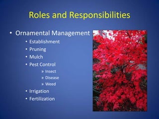 Roles and Responsibilities
• Ornamental Management
    •   Establishment
    •   Pruning
    •   Mulch
    •   Pest Control
             » Insect
             » Disease
             » Weed
    • Irrigation
    • Fertilization
 