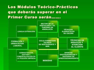 Los Módulos Teórico-Prácticos que deberás superar en el Primer Curso serán……. LENGUA EXTRANJERA FORMACIÓN Y ORIENTACION  LABORAL ADMINISTRACION, GESTION Y  COMERCIALIZACIÓN EN  LA PEQUEÑA EMPRESA BEBIDAS OFERTAS GASTRONÓMICAS Y SISTEMAS DE APROVISIONAMIENTO TÉCNICAS DE SERVICIO Y  ATENCION AL CLIENTE TÉCNICAS  ELEMENTALES  DE COCINA SECTOR DE LA  HOSTELERÍA Y EL TURISMO EN ANDALUCÍA CICLO FORMATIVO TÉCNICO DE RESTAURANTE Y BAR. 