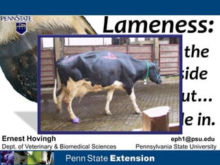 Lameness:
                             from the
                                inside
                                 out…
                   …and the outside in.
Ernest Hovingh                                          eph1@psu.edu
Dept. of Veterinary & Biomedical Sciences   Pennsylvania State University
 