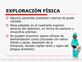 Diagrama de un estómago después de la reparación de una estenosis pilórica. Fíjese (en el corte transversal) que se ha hecho una incisión en el músculo, agrandando el píloro y aliviando la obstrucción.