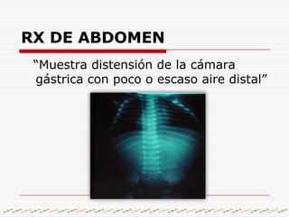 LABORATORIO: se puede encontrarAlcalosis metabólica( hallazgo + característico), hipocloremia y hipokalemia.Hemograma-normal(hemoconcentracion).Elevación de la creatinina.La densidad urinaria también puede estar elevada.Bilirrubina indirecta aumentada.