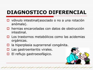 3era , alas 4 horas post ingesta del bario: retardo en la evacuación del medio de contraste.La serie gastroduodenal muestra un estrechamiento del canal pilórico con una o varias imágenes de «cuerda»; es el medio de contraste que dibuja los pliegues hipertrofiados de la mucosa pilórica; se describe también un efecto de masa que se proyecta hacia el antro gástrico (signo del hombro).
