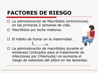FACTORES DE RIESGOLa administración de Macrólidos (eritromicina) en las primeras 2 semanas de vida.Macrólidos por leche materna.El hábito de fumar en la maternidad.La administración de macrólidos durante el embarazo (indicados para el tratamiento de infecciones por Chlamydia) no aumenta el riesgo de estenosis del píloro en los lactantes.