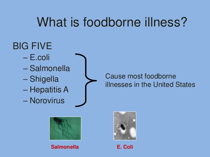 food service injuries and illnesses Injury and illness prevention program (iipp) - provides program overview, resources and assistance if you'd like technical assistance in downloading these files, contact cheryl reinman of eh&s by e-mail or telephone at 642-1978. food service injuries and illnesses Injury and illness prevention program (iipp) - provides program overview, resources and assistance if you'd like technical assistance in downloading these files, contact cheryl reinman of eh&s by e-mail or telephone at 642-1978.