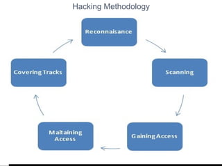 Hacking Methodology 
 
