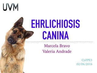 EHRLICHIOSIS
CANINA
Marcela Bravo
Valeria Andrade
CyZPE3
02/06/2016
 