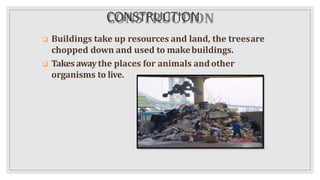 CONSTRUCTION
 Buildings take up resources and land, the treesare
chopped down and used to makebuildings.
 Takesawaythe places for animals andother
organisms to live.
 