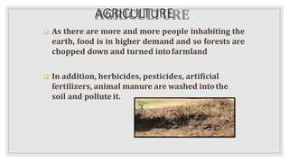 AGRICULTURE
 As there are more and more people inhabiting the
earth, food is in higher demand and so forests are
chopped down and turned intofarmland
 In addition, herbicides, pesticides, artificial
fertilizers, animal manure are washed intothe
soil and pollute it.
 