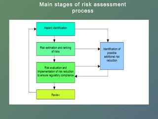Main stages of risk assessment 
process 
 