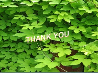 Ehs management issues& challenges safety