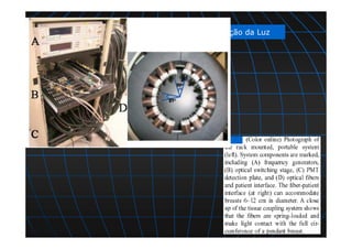 Detecção da Luz
figura
 