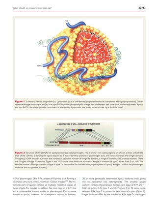 When should we measure lipoprotein (a)? | PDF