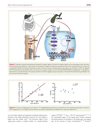 When should we measure lipoprotein (a)? | PDF