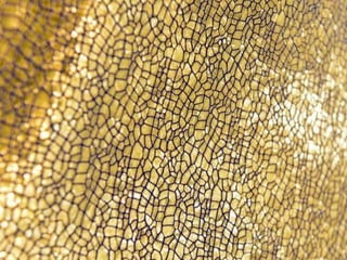 Ehundurak ala testurak