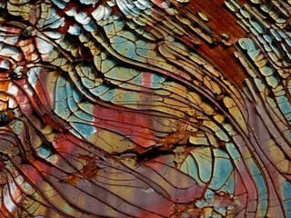 Ehundurak ala testurak