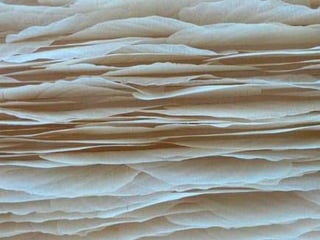 Ehundurak ala testurak