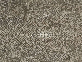 Ehundurak ala testurak