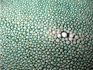 Ehundurak ala testurak