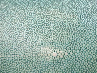 Ehundurak ala testurak