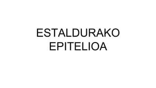 ESTALDURAKO
EPITELIOA
 