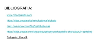 BIBLIOGRAFIA:
www.monografias.com
https://sites.google/site/astrologiaetafisiologia
prezi.com/urwoccouz5kg/epiteli-ehunak
https://sites.google.com/site/gorputzekoehunak/epitelio-ehuna/guruin-epitelioa
Biologiako liburutik
 
