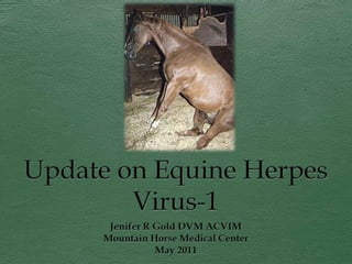 Update on Equine Herpes Virus-1 Jenifer R Gold DVM ACVIM Mountain Horse Medical Center May 2011 