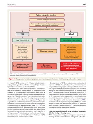 the intake of NOAC was recent (,2–4 h), charcoal administration
and/or gastric lavage will reduce further exposure. Dialysis clears da-
bigatran but is less effective for the other NOACs.
Immediate reversal of the antithrombotic effect is indicated in se-
vere or life-threatening bleeding events. An agreed institutional
procedure for the management of life-threatening bleeds should be
documented and accessible at all times to ensure adequate initial man-
agement. For VKAs, administration of fresh frozen plasma restores co-
agulation more rapidly than vitamin K, and prothrombin complex
concentrates achieve even faster blood coagulation.505
Registry data
suggest that the combination of plasma and prothrombin complex
concentrates is associated with the lowest case fatality following intra-
cranial haemorrhage on VKA treatment with an INR ≥1.3.506
In a mul-
ticentre randomized trial of 188 patients, four-factor prothrombin
complex concentrates achieved more rapid INR reversal and effective
haemostasis than plasma in patients undergoing urgent surgical or in-
vasive procedures.507
Administration of prothrombin complex con-
centrates may also be considered for severe bleeding on NOAC
treatment if speciﬁc antidotes are not available.
Several antidotes to NOACs are under development. Idarucizumab
(approved in 2015 by the US Food and Drug Administration and the
European Medicines Agency) is a clinically available humanized anti-
body fragment that binds dabigatran and rapidly and dose-dependently
reverses its effects without over-correction or thrombin gener-
ation.475
Andexanet alpha, a modiﬁed recombinant human factor Xa
that lacks enzymatic activity, reverses the anticoagulant activity of fac-
tor Xa antagonists in healthy subjects within minutes after administra-
tion and for the duration of infusion, with a transient increase in
markers of coagulation activity of uncertain clinical relevance.508
An-
other agent under development is ciraparantag (PER977), an antidote
designed to reverse both direct thrombin and factor Xa inhibitors as
well as the indirect inhibitor enoxaparin.509
The clinical usefulness of
these speciﬁc antidotes needs further evaluation.
9.6.2 Oral anticoagulation in atrial ﬁbrillation patients at
risk of or having a bleeding event
While anticoagulation therapy should be paused to control active
bleeding, absolute contraindications to long-term OAC after a
VKA NOAC
Delay VKA until INR <2 Minor
Moderate - severe
Severe or
life-threatening
Delay NOAC for 1 dose or 1 day
Add symptomatic treatment:
Fluid replacement
Blood transfusion
Treat bleeding cause
(e.g. gastroscopy)
Consider to add
Vitamin K (1–10 mg) i.v.
Add symptomatic treatment:
Fluid replacement
Blood transfusion
Treat bleeding cause
(e.g. gastroscopy)
Consider to add oral charcoal
if recently ingested NOAC
Consider PCC and FFP
Consider replacement of platelets
where appropriate
Consider specific antidote, or
PCC if no antidote available
Consider replacement of platelets
where appropriate
Patient with active bleeding
Compress bleeding sites mechanically
Assess haemodynamic status, blood pressure, basic coagulation
parameters, blood count, and kidney function
Obtain anticoagulation history (last NOAC / VKA dose)
FFP = fresh frozen plasma; INR = international normalized ratio; i.v. = intravenous; NOAC = non-vitamin K antagonist oral anticoagulant; OAC = oral anticoagulation; PCC =
prothrombin complex concentrates; VKA = vitamin K antagonist.
Figure 11 Management of active bleeding in patients receiving anticoagulation. Institutions should have an agreed procedure in place.
ESC Guidelines 2925
 