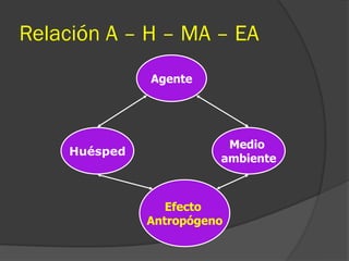 Relación A – H – MA – EA
Agente
Medio
ambiente
Huésped
Efecto
Antropógeno
 