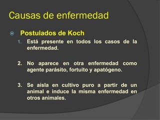 Causas de enfermedad
 Postulados de Koch
1. Está presente en todos los casos de la
enfermedad.
2. No aparece en otra enfermedad como
agente parásito, fortuito y apatógeno.
3. Se aísla en cultivo puro a partir de un
animal e induce la misma enfermedad en
otros animales.
 
