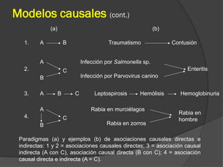Modelos causales (cont.)
Paradigmas (a) y ejemplos (b) de asociaciones causales directas e
indirectas: 1 y 2 = asociaciones causales directas; 3 = asociación causal
indirecta (A con C), asociación causal directa (B con C); 4 = asociación
causal directa e indirecta (A = C).
1. A B Traumatismo Contusión
2.
A
C
Infección por Salmonella sp.
Enteritis
B Infección por Parvovirus canino
3. A B Leptospirosis HemólisisC Hemoglobinuria
4.
A
C
Rabia en murciélagos
Rabia en
hombre
B Rabia en zorros
(a) (b)
 