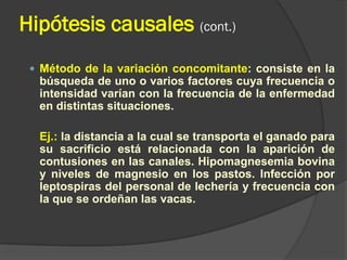 Hipótesis causales (cont.)
 Método de la variación concomitante: consiste en la
búsqueda de uno o varios factores cuya frecuencia o
intensidad varían con la frecuencia de la enfermedad
en distintas situaciones.
Ej.: la distancia a la cual se transporta el ganado para
su sacrificio está relacionada con la aparición de
contusiones en las canales. Hipomagnesemia bovina
y niveles de magnesio en los pastos. Infección por
leptospiras del personal de lechería y frecuencia con
la que se ordeñan las vacas.
 