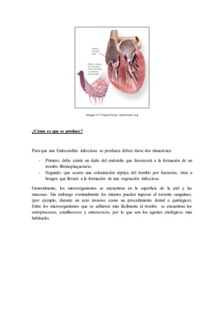 Imagen n°1.Fuente:http://www.heart.org
¿Cómo es que se produce?
Para que una Endocarditis infecciosa se produzca deben darse dos situaciones:
- Primero: debe existir un daño del endotelio que favorecerá a la formación de un
trombo fibrinoplaquetario.
- Segundo: que ocurra una colonización séptica del trombo por bacterias, virus u
hongos que llevará a la formación de una vegetación infecciosa.
Generalmente, los microorganismos se encuentran en la superficie de la piel y las
mucosas. Sin embargo eventualmente los mismos pueden ingresar al torrente sanguíneo,
(por ejemplo, durante un acto invasivo como un procedimiento dental o quirúrgico).
Entre los microorganismos que se adhieren más fácilmente al trombo se encuentran los
estreptococos, estafilococos y enterococos, por lo que son los agentes etiológicos más
habituales.
 