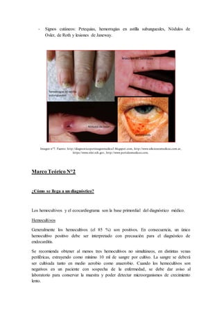 - Signos cutáneos: Petequias, hemorragias en astilla subungueales, Nódulos de
Osler, de Roth y lesiones de Janeway.
Imagen n°7. Fuente: http://diagnosticoporimagenmedica3.blogspot.com, http://www.edicionesmedicas.com.ar,
https://www.nlm.nih.gov, http://www.portalesmedicos.com.
Marco Teórico N°2
¿Cómo se llega a un diagnóstico?
Los hemocultivos y el ecocardiograma son la base primordial del diagnóstico médico.
Hemocultivos
Generalmente los hemocultivos (el 85 %) son positivos. En consecuencia, un único
hemocultivo positivo debe ser interpretado con precaución para el diagnóstico de
endocarditis.
Se recomienda obtener al menos tres hemocultivos no simultáneos, en distintas venas
periféricas, extrayendo como mínimo 10 ml de sangre por cultivo. La sangre se deberá
ser cultivada tanto en medio aerobio como anaerobio. Cuando los hemocultivos son
negativos en un paciente con sospecha de la enfermedad, se debe dar aviso al
laboratorio para conservar la muestra y poder detectar microorganismos de crecimiento
lento.
 