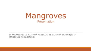 Mangroves
Presentation
BY MARWAH(31), ALISHBA RAZZAQ(32), ALISHBA ZAINAB(53E),
MAHEEN(22),HADIA(30)
 